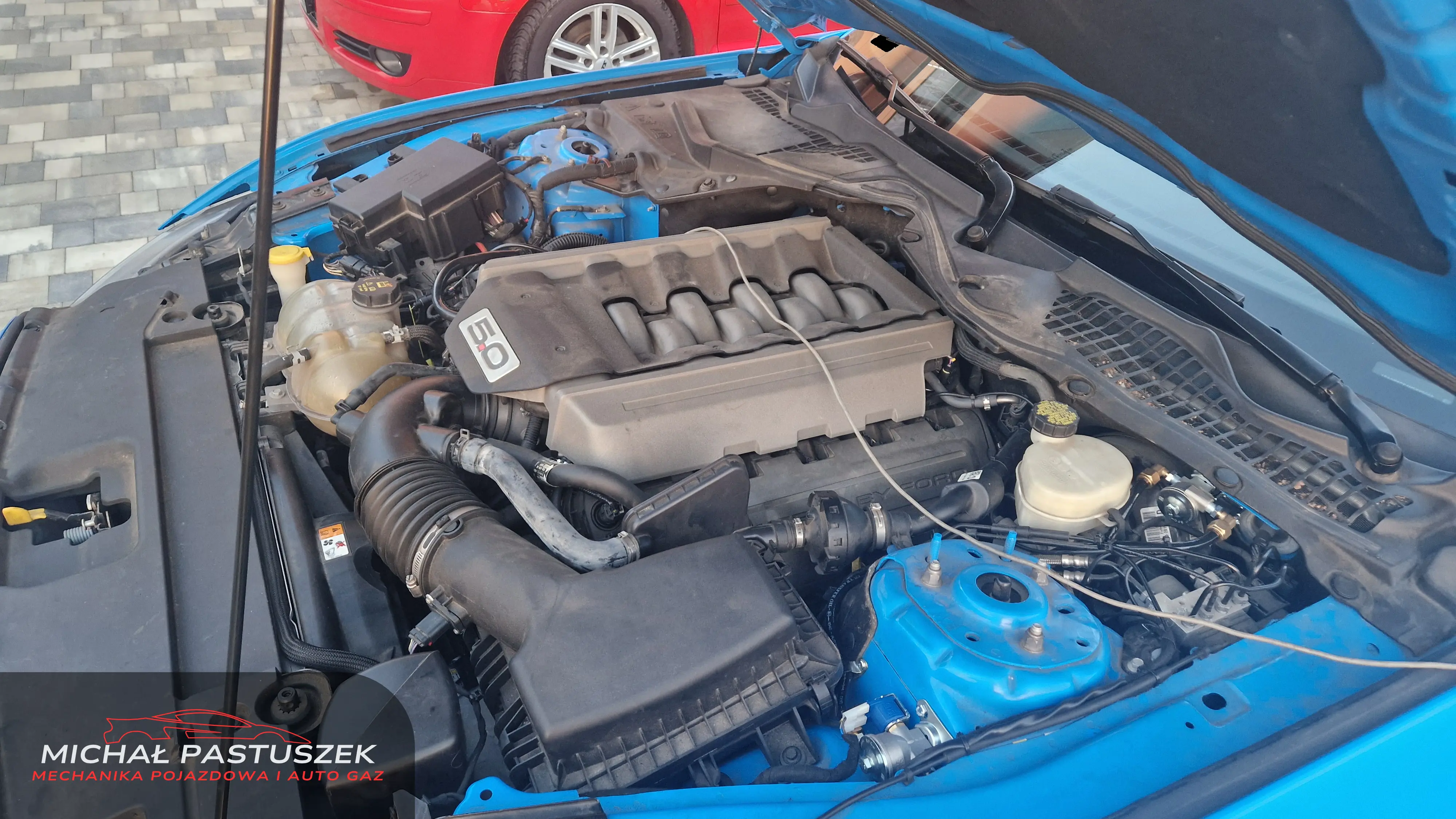 Mustang 5.0 V8